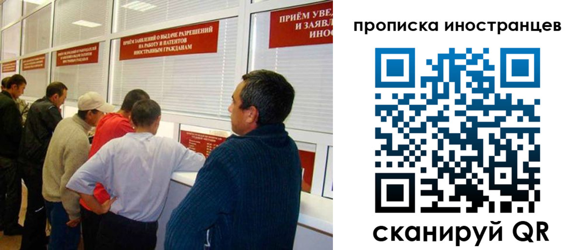 временная регистрация поиск в Димитровграде